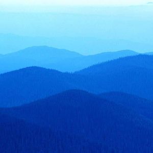 Meet your Posher, Connie